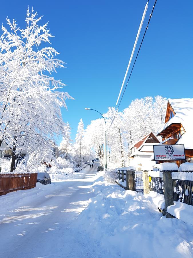 Willa 14 Zakopane Exterior foto
