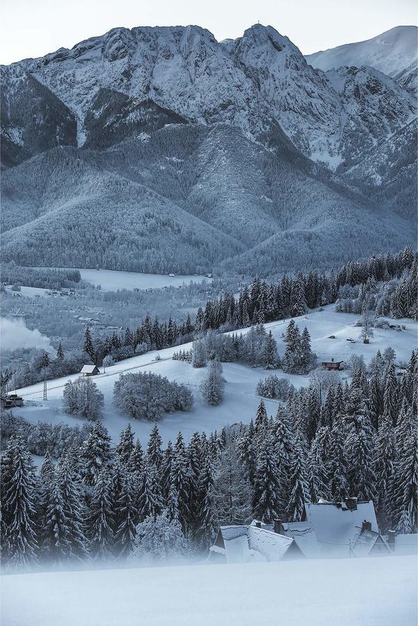 Willa 14 Zakopane Exterior foto